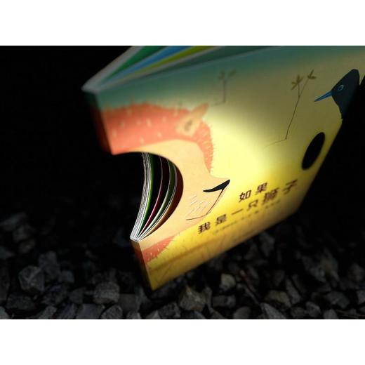 如果我是一只狮子 商品图2