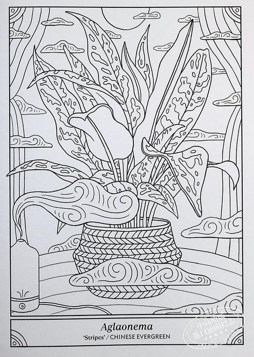 【中商原版】快乐室内植物涂色书 50种植物涂色和护理 The Happy Houseplant Coloring Book 英文原版 Caitlin Keegan 科普填色 商品图3