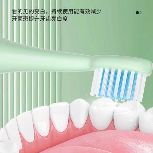 格卡诺电动牙刷（送两个刷头、一个电池） 商品图2