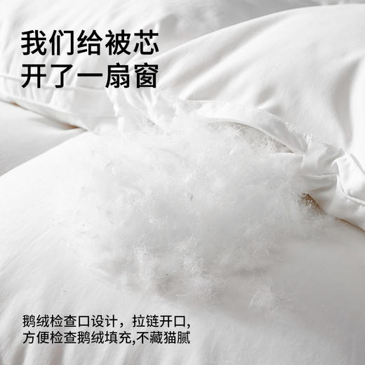佳丽斯鹅绒羽绒被95白鹅绒冬被芯加厚保暖抑菌鹅绒被子轻柔御寒 商品图7
