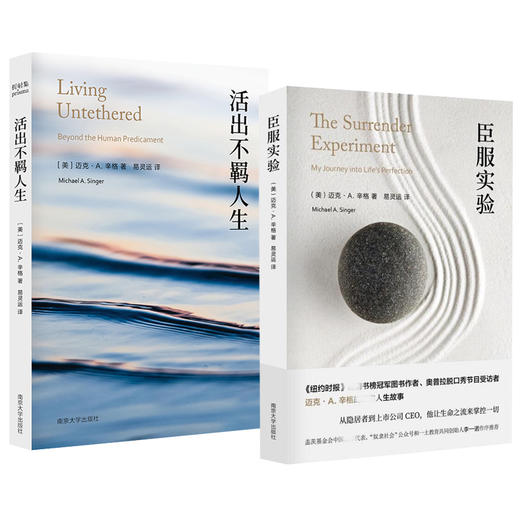 臣服实验+活出不羁人生 （迈克·A.辛格2册） 个人成长励志书 自我实现之路指南书 个人成长 南京大学出版社 商品图2
