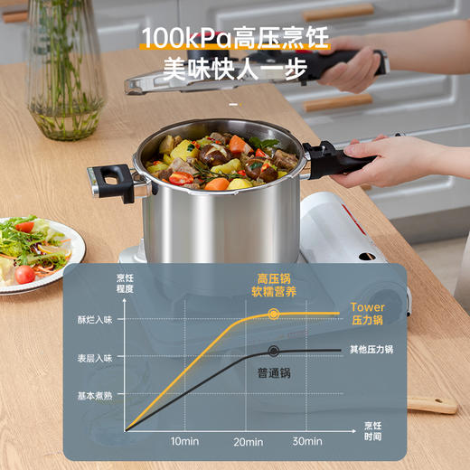 TOWER 静厨不锈钢压力锅6L T820005S 商品图2