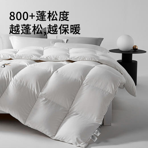 佳丽斯鹅绒羽绒被95白鹅绒冬被芯加厚保暖抑菌鹅绒被子轻柔御寒 商品图3