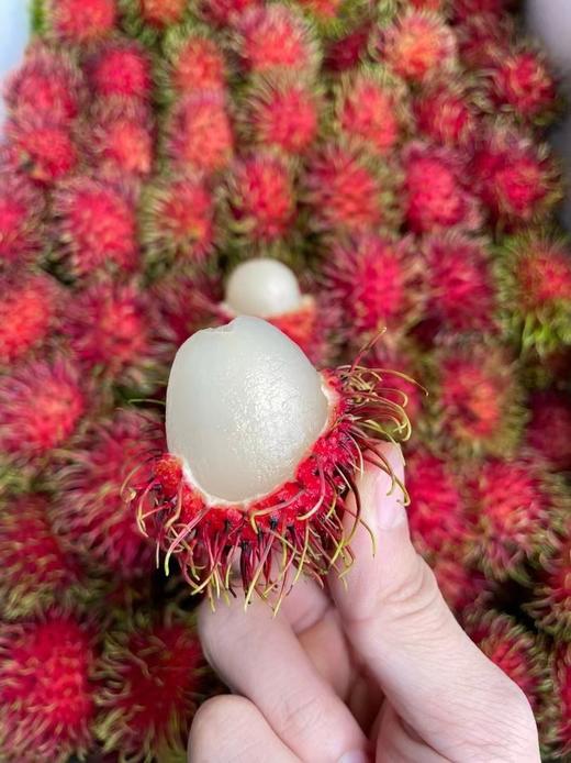 红毛丹3斤装 38-40个左右 商品图3