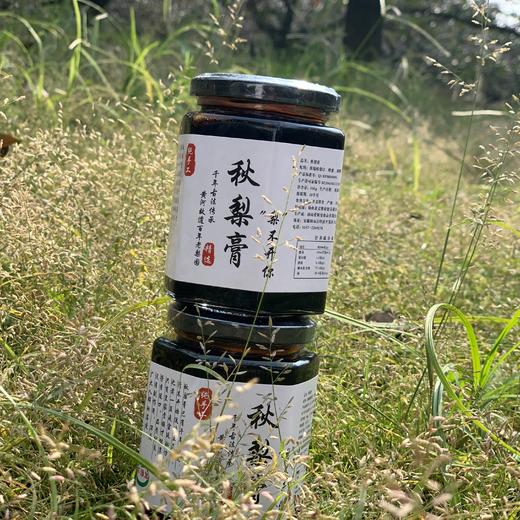 砀山酥梨（秋梨）膏 商品图2