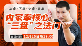 陆功翰传武秘籍第十二期——内家拳三盘运劲之法门