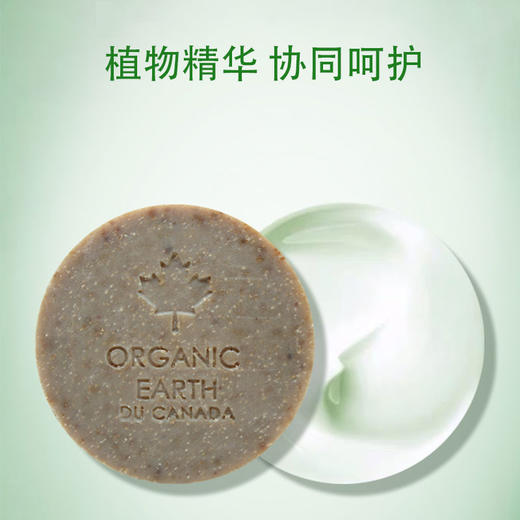 有机地球茶树冷法洁面皂75g 商品图3
