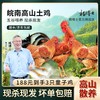 【达人链接】童子鸡、土鸡蛋、老母鸡 深山散养 全粮喂养 商品缩略图0