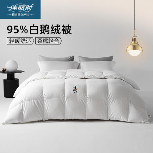 佳丽斯鹅绒羽绒被95白鹅绒冬被芯加厚保暖抑菌鹅绒被子轻柔御寒 商品图0
