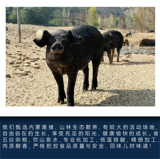 【南纬37°】黑山猪肉礼盒（A款/B款） 商品图1