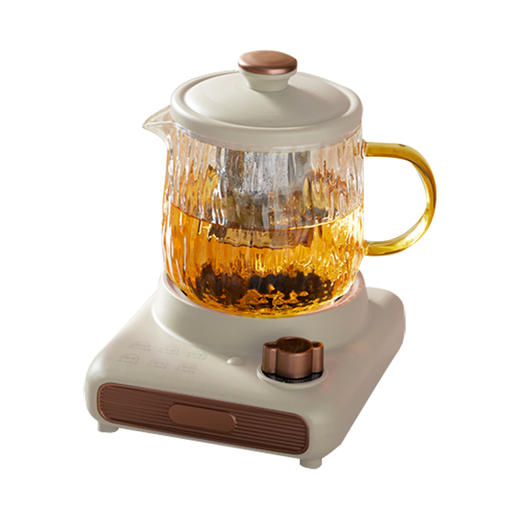 艾贝丽 养生杯 ABL-DD67 商品图1