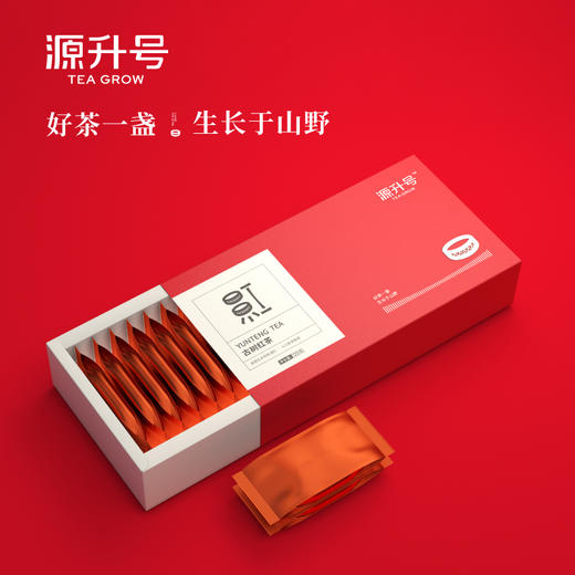 源升号—古树红茶 商品图4