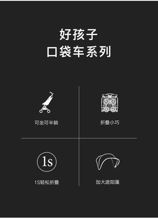 9楼好孩子推车     吊牌价：2199元  折后价1539元（样品） 商品图6