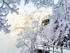 元旦2日【白石山+温泉】清西陵-白石山巍巍太行-天下奇山-云端踏步-人间仙境 商品缩略图3