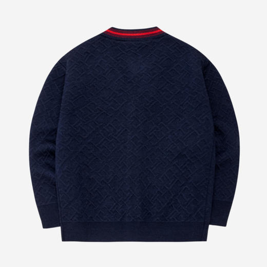 TOMMY 春 大童小童 儿童童装毛衣 THB-SE-24A038 商品图1