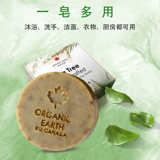 有机地球茶树冷法洁面皂75g 商品图1