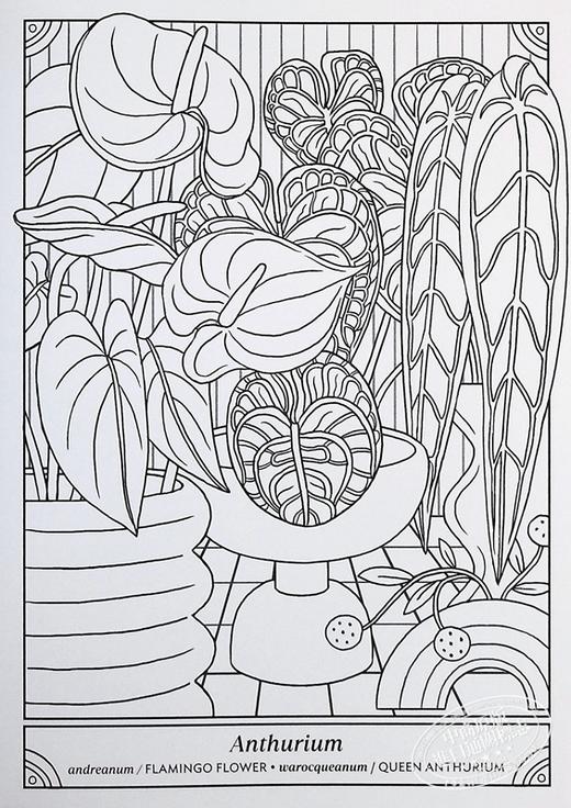 【中商原版】快乐室内植物涂色书 50种植物涂色和护理 The Happy Houseplant Coloring Book 英文原版 Caitlin Keegan 科普填色 商品图6