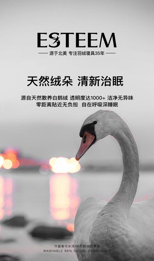 【6F】宜庭｜守望者进口鹅绒四季被 商品图1