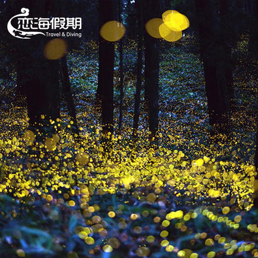 海洋 美人鱼岛浮潜+在水一方KAWA萤火虫一日游 商品图1