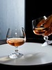 捷克BOHEMIA进口水晶玻璃白兰地杯干邑杯洋酒杯轩尼诗杯 酒吧家用 商品缩略图4