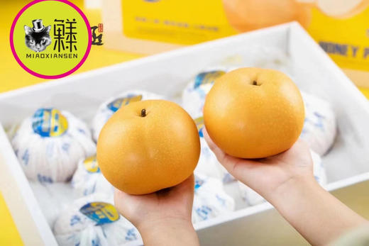 玉脂蜜糖梨（秋月梨2代）8枚一箱 商品图3