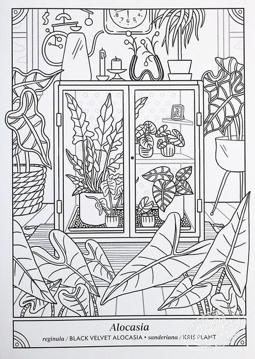 【中商原版】快乐室内植物涂色书 50种植物涂色和护理 The Happy Houseplant Coloring Book 英文原版 Caitlin Keegan 科普填色 商品图4