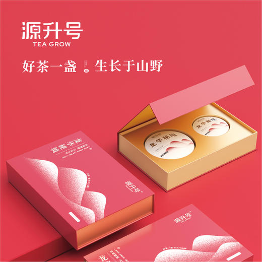 源升号—龙华秘境 商品图0