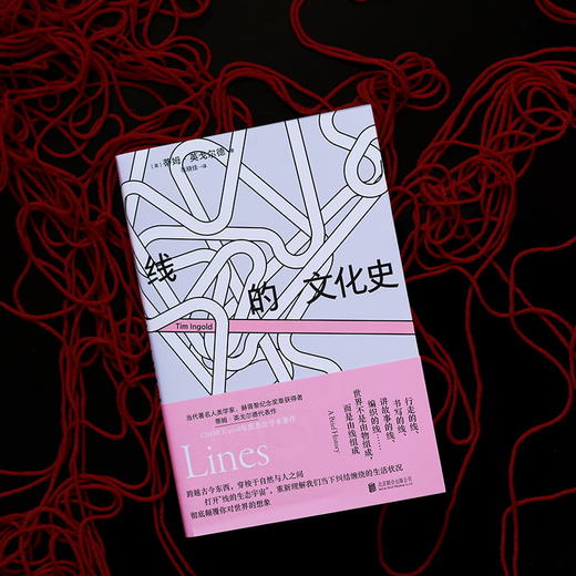 线的文化史 商品图2
