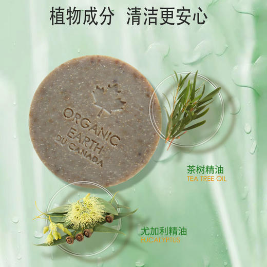有机地球茶树冷法洁面皂75g 商品图2