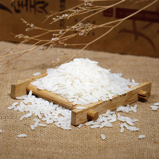 八宝贡—清香软米 商品图1