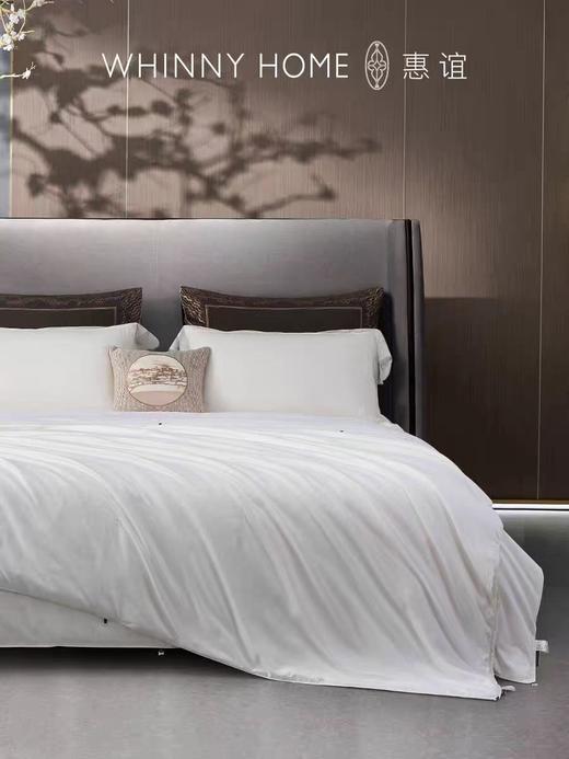惠谊WHINNY HOME听山云海蚕丝春秋被863122252 商品图0