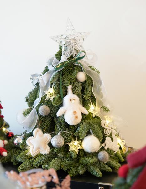 银色守护--圣诞树 商品图0