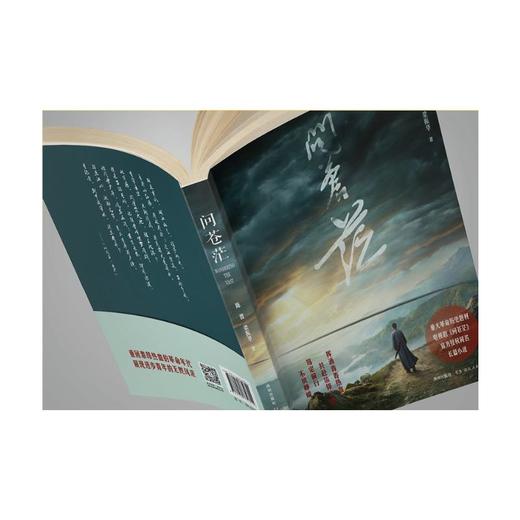 问苍茫 商品图2