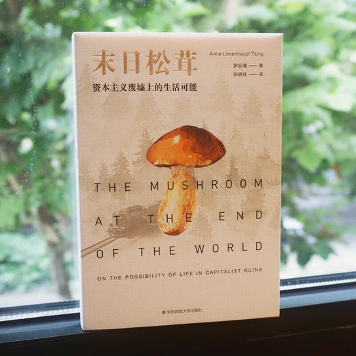 末日松茸：资本主义废墟上的生活可能（薄荷实验） 商品图1