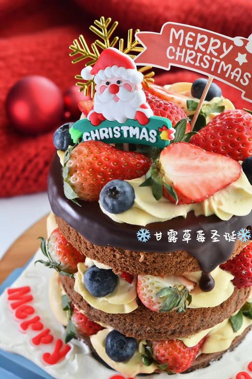 甘露草莓圣诞 商品图0