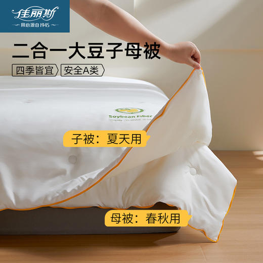 佳丽斯大豆二合一A类大豆子母被大豆纤维被四季通用被芯秋冬被子 商品图0