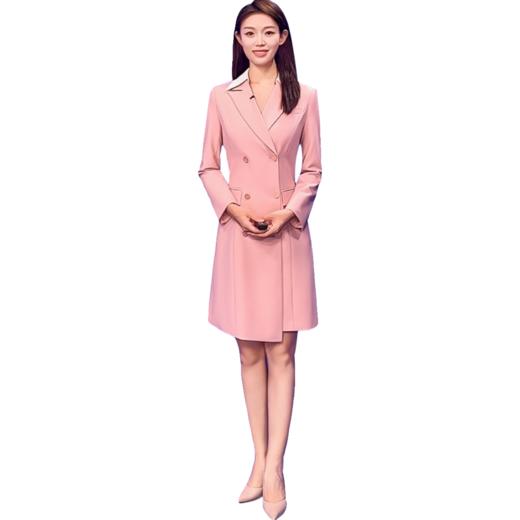 IWY/粉色演讲比赛服装女商务西装裙高级设计感主持人正装连衣裙Q13103-P 商品图4