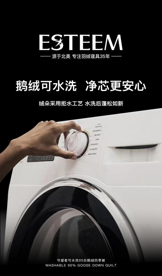 【6F】宜庭｜守望者进口鹅绒四季被 商品图3