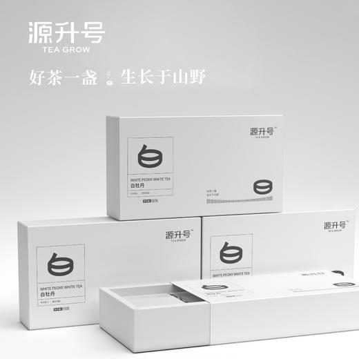 源升号—白牡丹 商品图0
