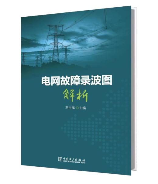 电网故障录波图解析 商品图0
