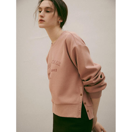 Even Vintage | 新疆长绒棉 云朵空气感美式学院定制印花logo卫衣 商品图3