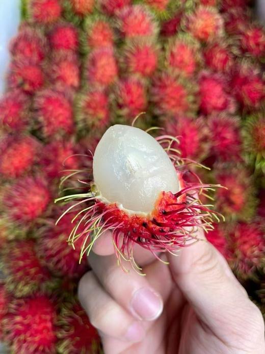 红毛丹3斤装 38-40个左右 商品图4