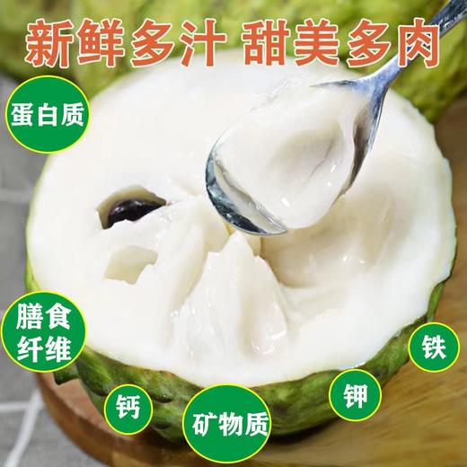 冰淇淋凤梨释迦，大个头一个约一斤12个/件。 商品图3