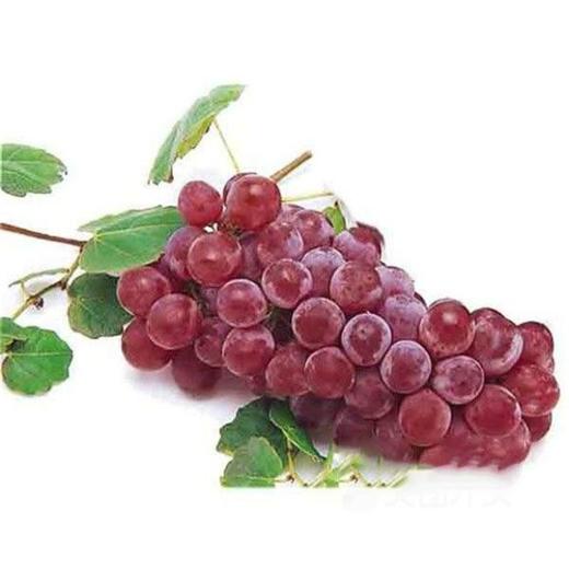 进口红提约650~750g/份 商品图0