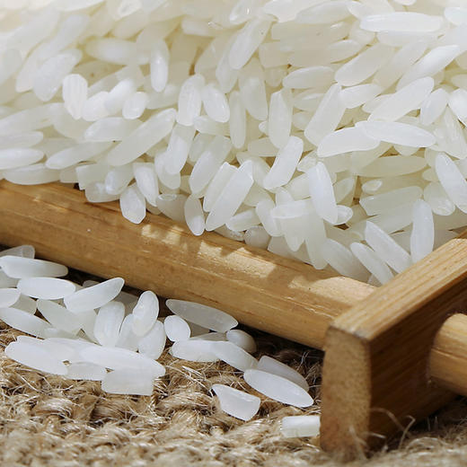 八宝贡—清香软米 商品图2