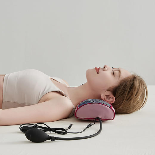 自然醒草本热敷可调节颈枕决明子艾草荞麦壳枕调节高度加热可拆洗手工睡眠枕LK 商品图5