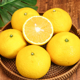 【梅州甜心桔柚】汁水饱满 清甜不酸涩 果型圆润饱满 果肉金黄诱人 清润不腻人 2种规格任选