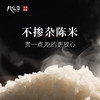 八宝贡—云南高原羊玉脂米 商品缩略图3