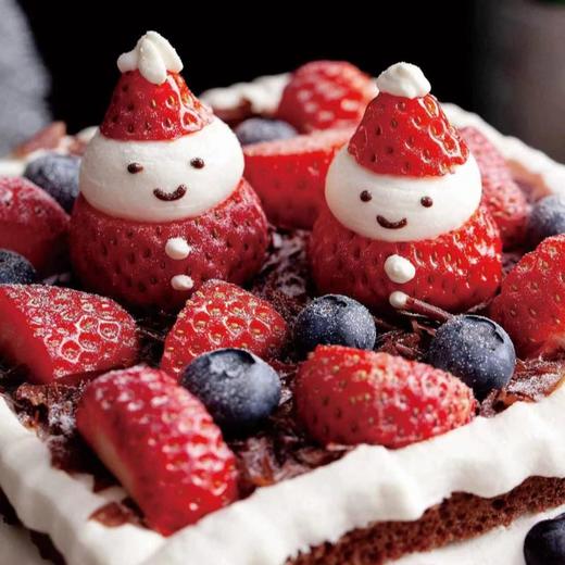 雪境 | Wonderland 商品图1