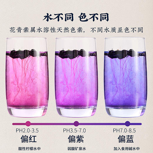 庄民野生黑枸杞如意礼盒 180g 小罐独立包装 年货好礼 国潮包装 包邮 商品图5